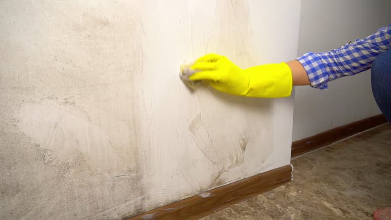 Best Mold Remediation for Healthcare Facilities  in New Market, AL